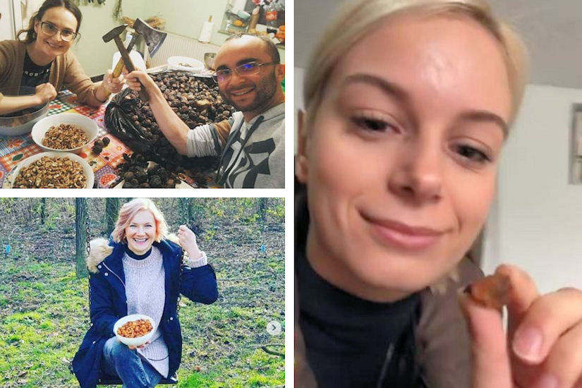 šimičić gamoš šestić