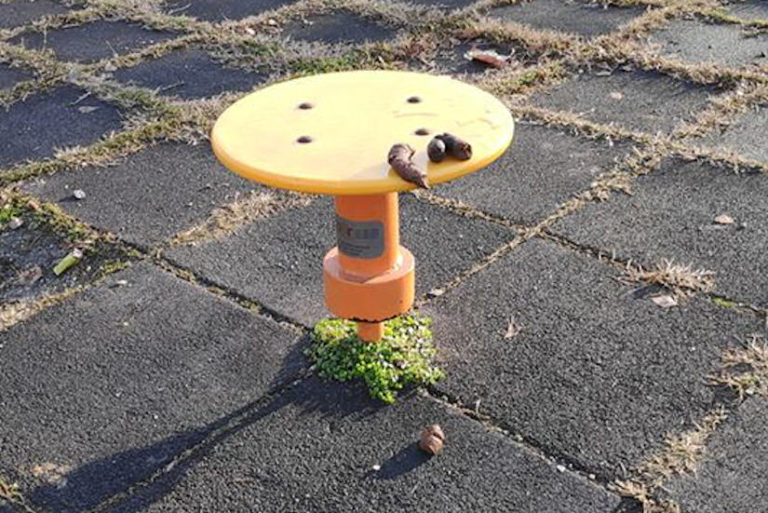 govno pas zrinjevac facebook