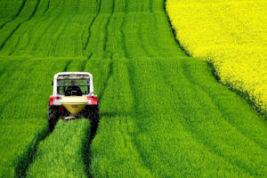 traktor pšenica repica polje
