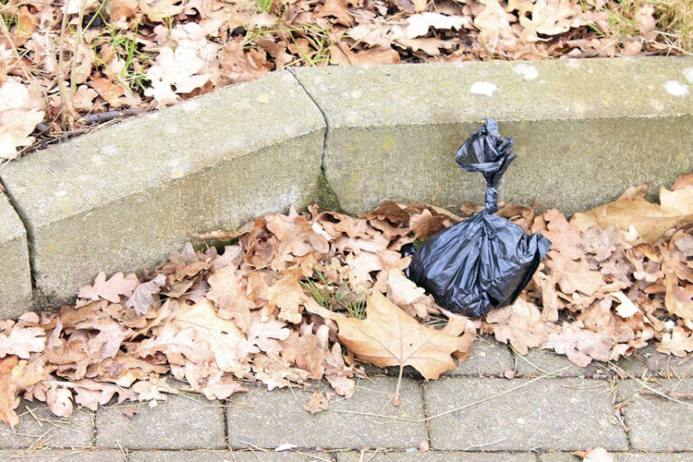 vrećica smeće cesta bankina