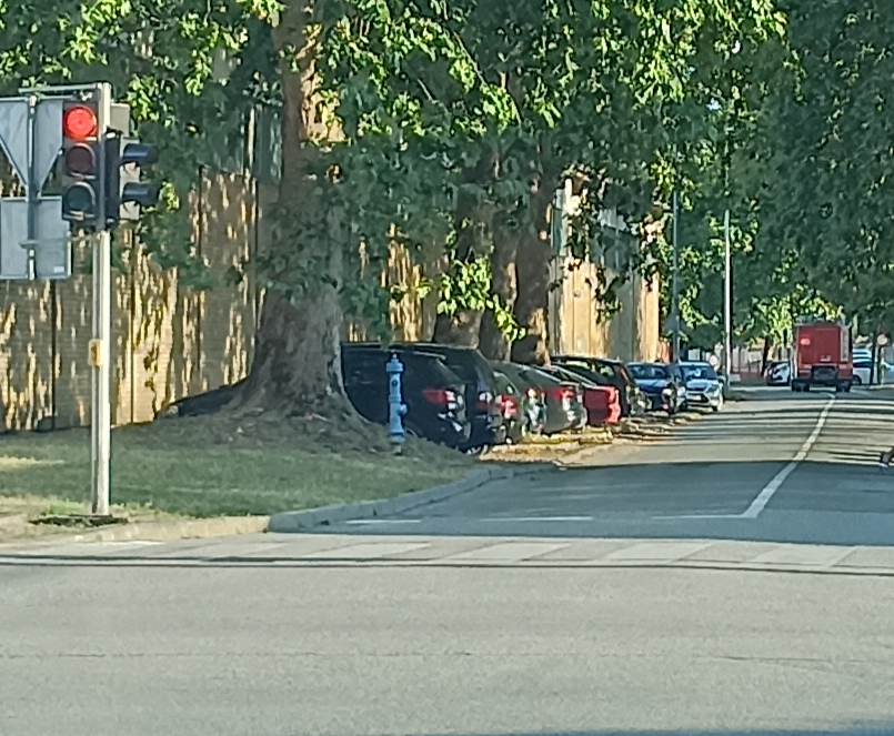 na aninom groblju